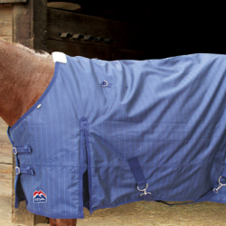 Equine