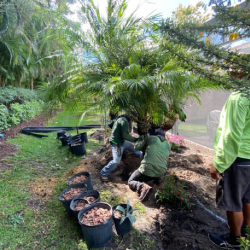 Landscape Design & Installation