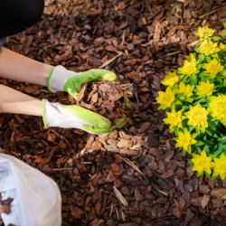 Mulching Services