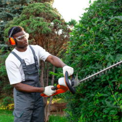 Tree & Shrub Care
