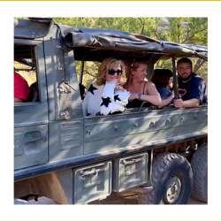 Guided Safari Tours