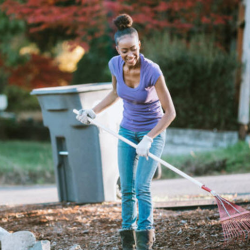Fall and Spring Seasonal Landscaping and Yard Cleanups