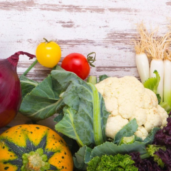 The Healthy Life Program