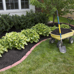 Mulching and Bed Maintenance