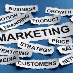 Marketing, Branding, and Digital Services