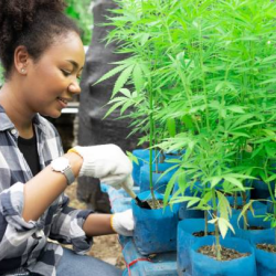 Organic Growing Solutions