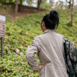 Custom Trail Signage