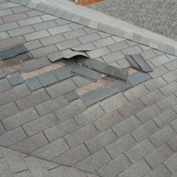 Asphalt Shingles