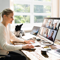 Webex Webinars