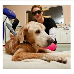 Cold Laser Therapy