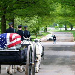 Veteran's Services