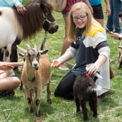 Pre-Veterinary Medicine
