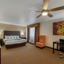 Suite-1 King Bed
