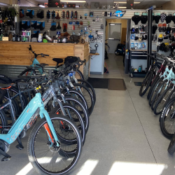 Bicycle Store