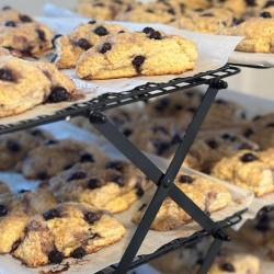 Choc Chip Cookies