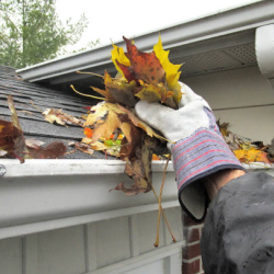 Gutter Cleaning