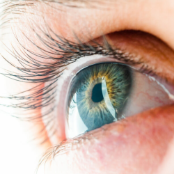 Dry Eye Treatment