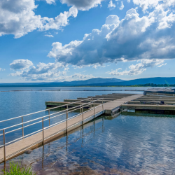 Boat Docks