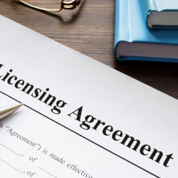 License Agreements