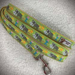 Large Collars and Leashes