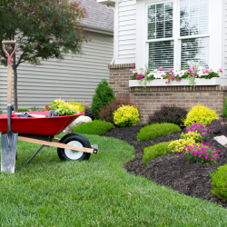 Lawn Maintenance Packages