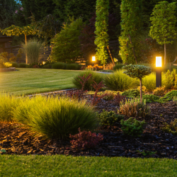 Outdoor Lighting Design and Installation