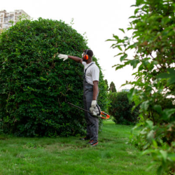 Landscaping