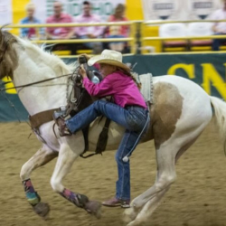 Junior Rodeo