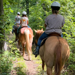  Trail Rides