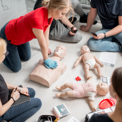 Adult and Pediatric First Aid/CPR/AED