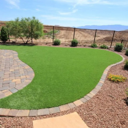 Turf Installation Service