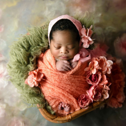 Newborn Sessions