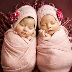 Newborn Portraits