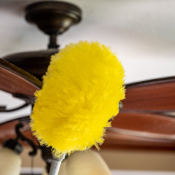 Ceiling Fans Cleaning 