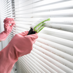 Blinds and Window Frames Cleaning