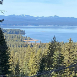 Current Local Environmental Issues