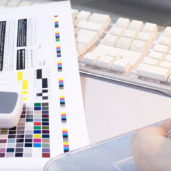 Graphic Design