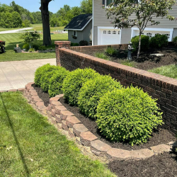 Lawn Seeding