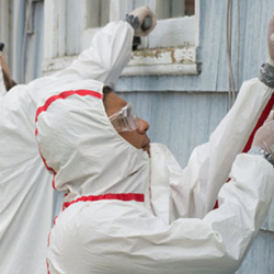 Asbestos Abatement