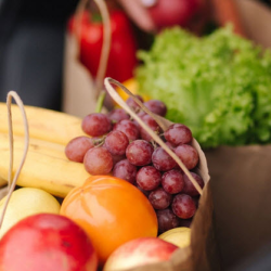 Food and Basic Needs Vouchers