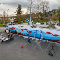 Save Our Salmon Mural