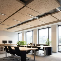 Acoustic Ceilings