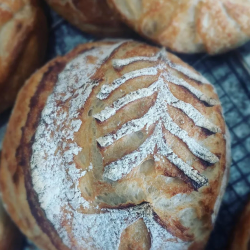 Sourdough Round