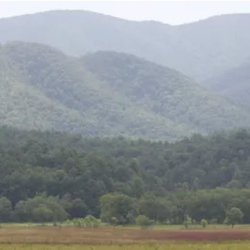 Smokey Mountain Retreats