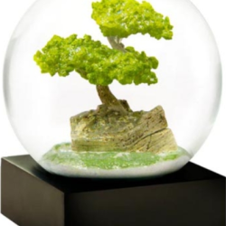 CoolSnowGlobes®