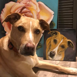 Pet Portraits