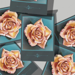 Greeting Cards