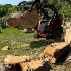 Stump Grinding