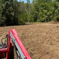 Land Clearing