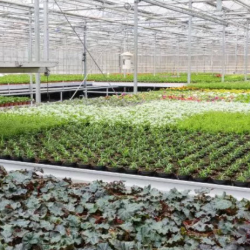 Agricultural Research